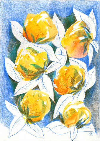 India III flowers 4.jpeg