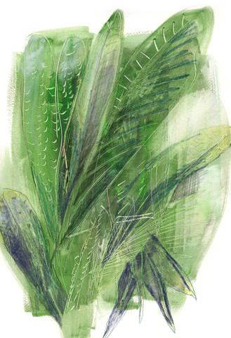 Nature_serie1 -1.jpeg