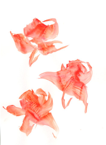 India III flowers 8.jpeg