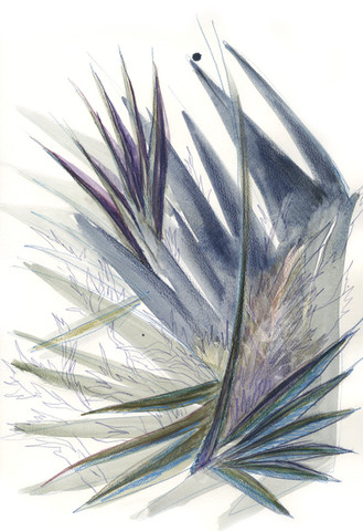 Nature 5.jpeg