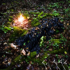COVER_COLTAN_121021_2.png
