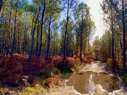 Le Moulin d'Hourtoy, Moustey, Landes