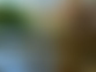 A Lincolnshire chalk stream