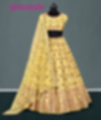 Party Wear Lehenga Choli