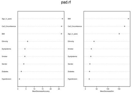 Using public data to develop a model to predict PAD