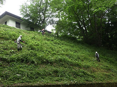草刈業務（天童市舞鶴山）