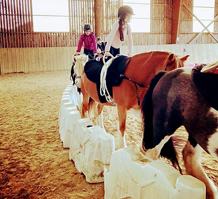 voltige collective 5 chevaux irishcobs