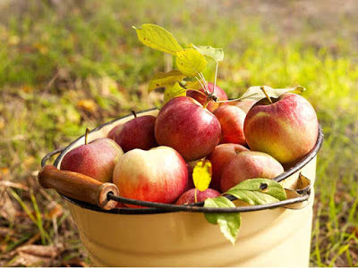 AdobeStock_60821762-600x800-web.jpg