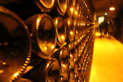 Moet Champagne Bottles