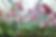 AdobeStock_39942485.jpeg