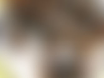 スズメバチ駆除