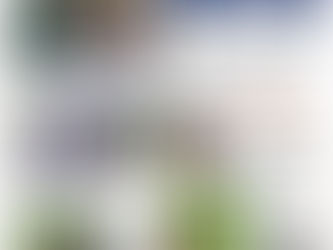 生態園 NEWS Letter