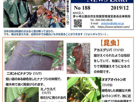 生態園 NEWS Letter