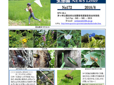 生態園 NEWS Letter