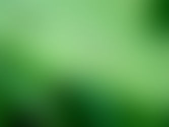 昆虫たちも成長中