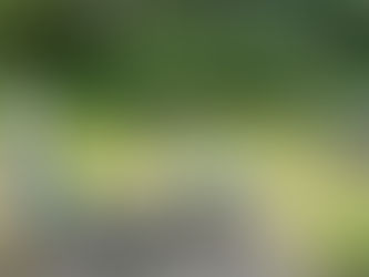 昔ながらの米作り