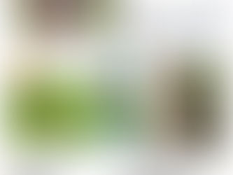 生態園 NEWS Letter