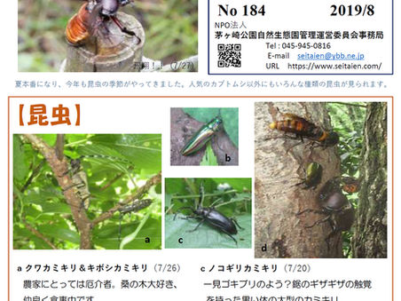 生態園 NEWS Letter