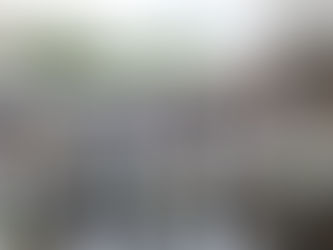 ヤゴの救出大作戦