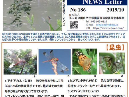 生態園 NEWS Letter