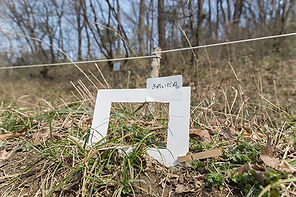 Oyako_Naturegame_04.jpg