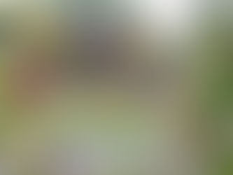 クリスマスリース作り