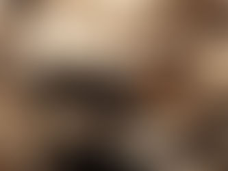 女王バチさがし