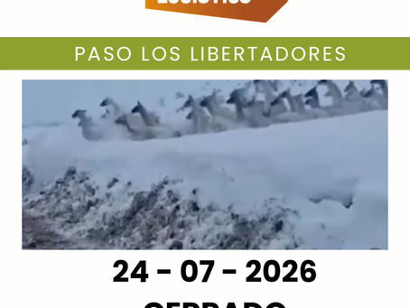 Estado Paso Los Libertadores