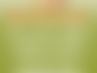 Estado Paso Los Libertadores