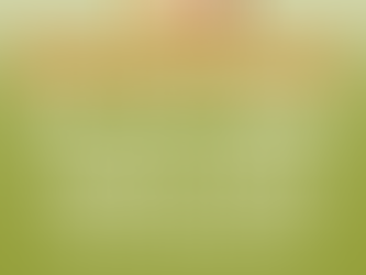 Estado Paso Los Libertadores