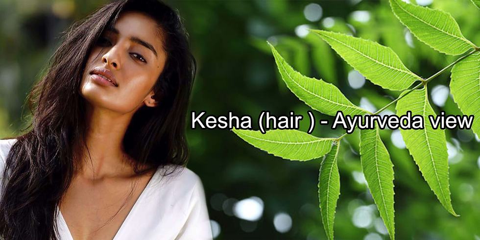 Ayurvedic hair care with herbal oils, fresh herbs, and healthy natural hair