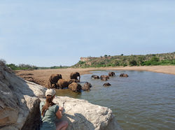 EcoTraining Nature Courses