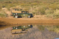 Private Big 5 Game Drives
