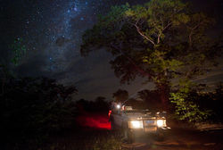 EcoTraining Wildlife Courses