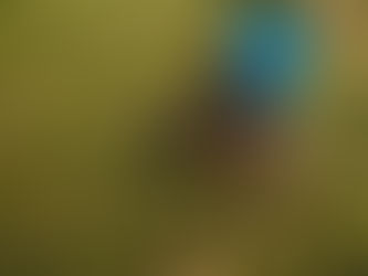 Leave a Lasting Legacy: Empower Women and Girls Through Your Will