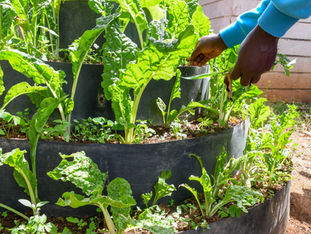 The Future of Sustainable Hospitality