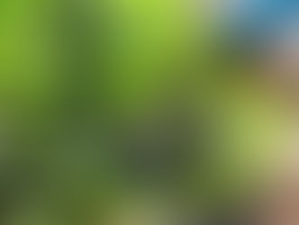 The Future of Sustainable Hospitality