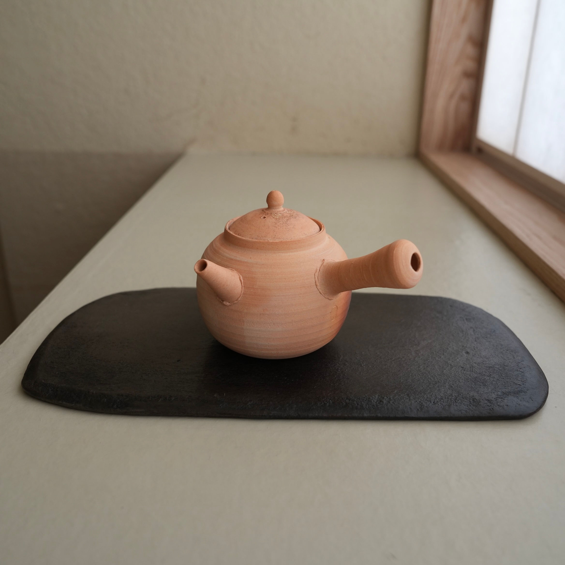 中田光 ボウフラ EHN2560