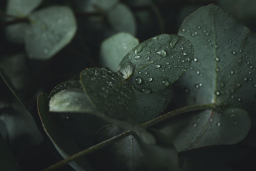 AdobeStock_422717354.jpeg