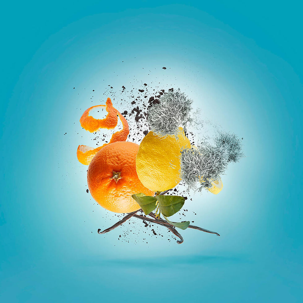 Миниатюра: ERBA PURA