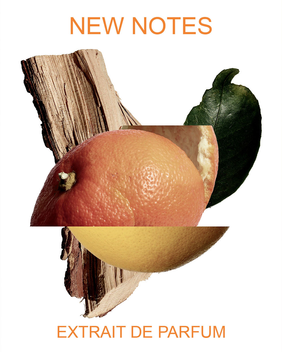 Μικρογραφία: AKIGALA MANDARINO