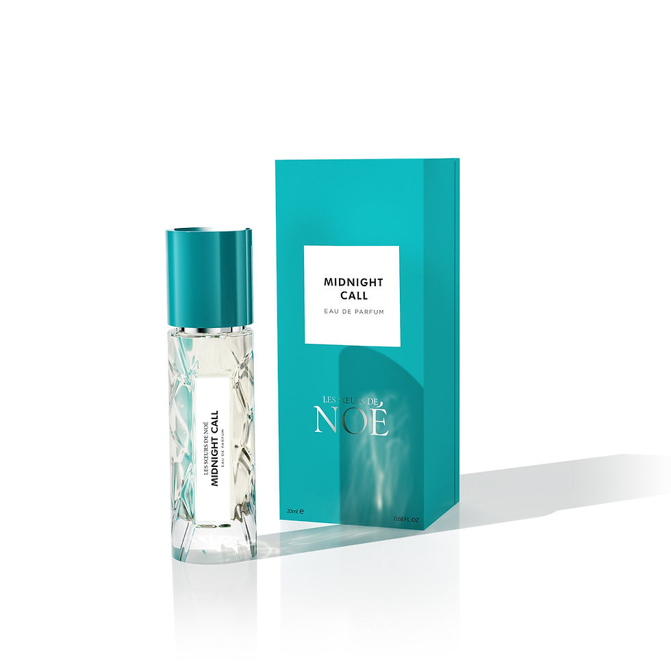 Μικρογραφία: Midnight Call