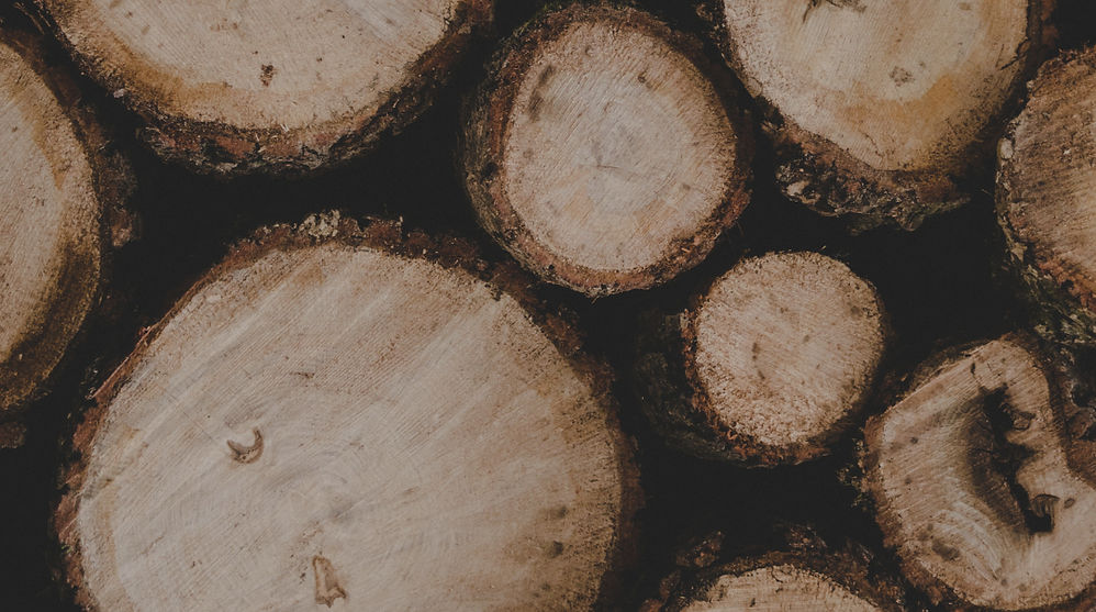 Namnlös design_edited.jpg