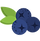 名称未設定のコピーのコピーのコピーのコピーのコピー.png