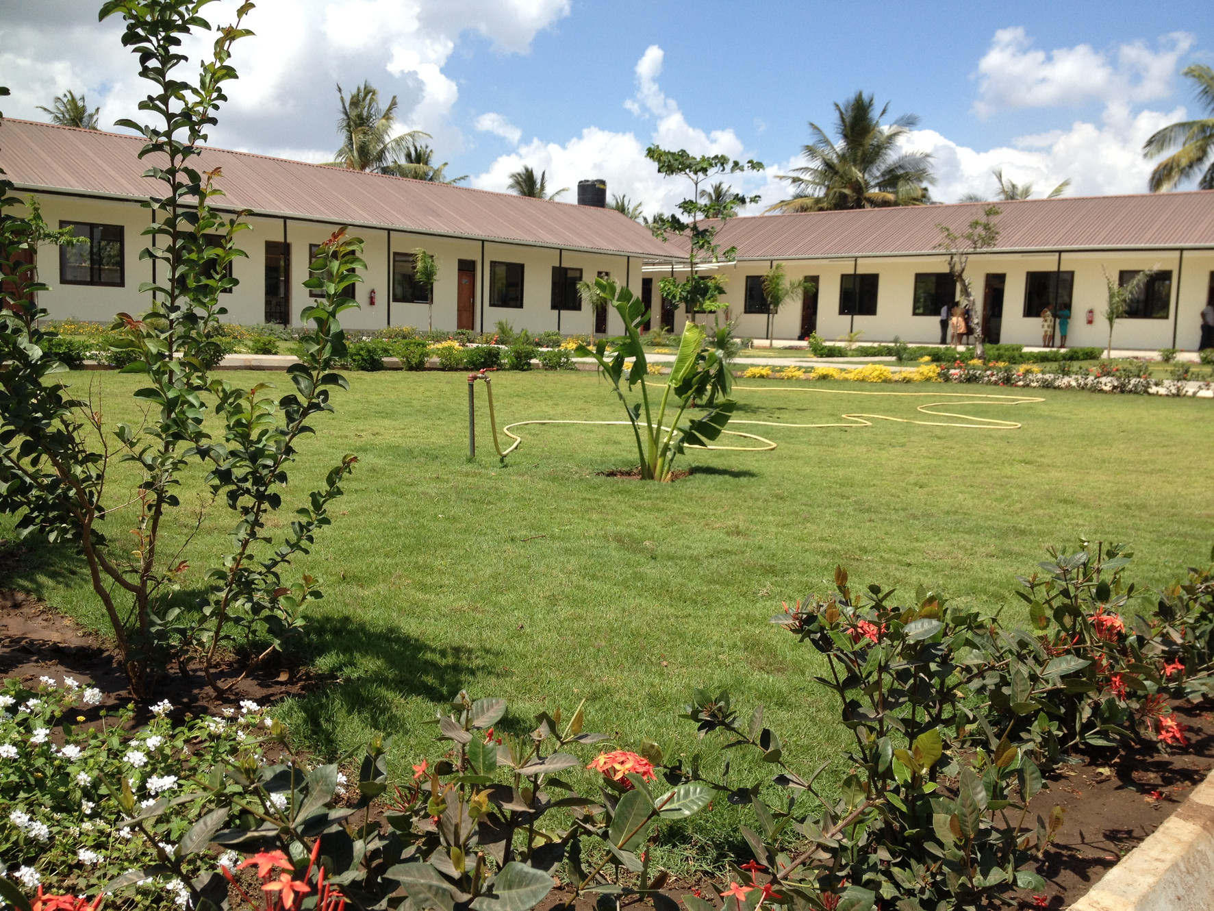 Genesis Schools