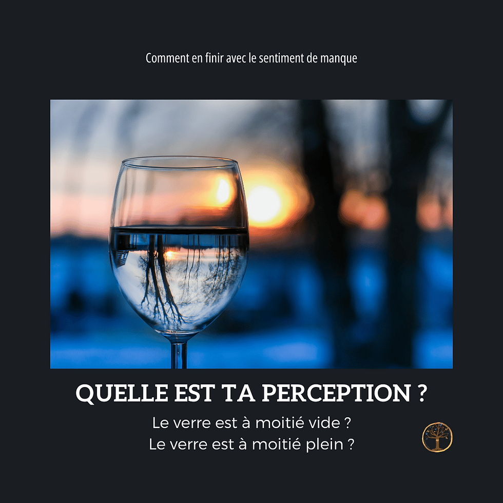 Quelle est ta perception ? Est-ce que le verre est à moitié plein ou à moitié vide ?