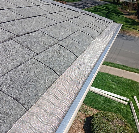 gutter-protection.jpg