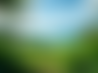 Two Fatal Mistakes That Destroy Fiji Land Opportunities Before They Begin