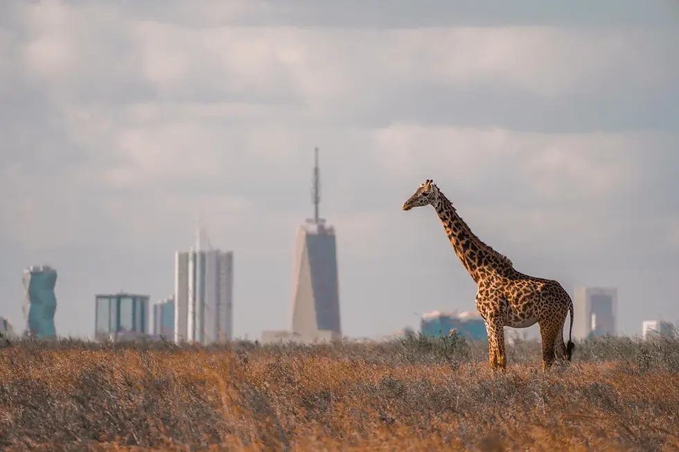 Thumbnail: Nairobi Kenya  & Addis Ababa Ethiopia March 28th, 2026 - April 5th 20th, 2026