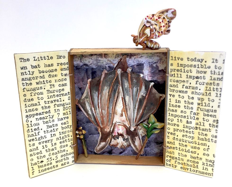 Reminder:Little Brown Bat